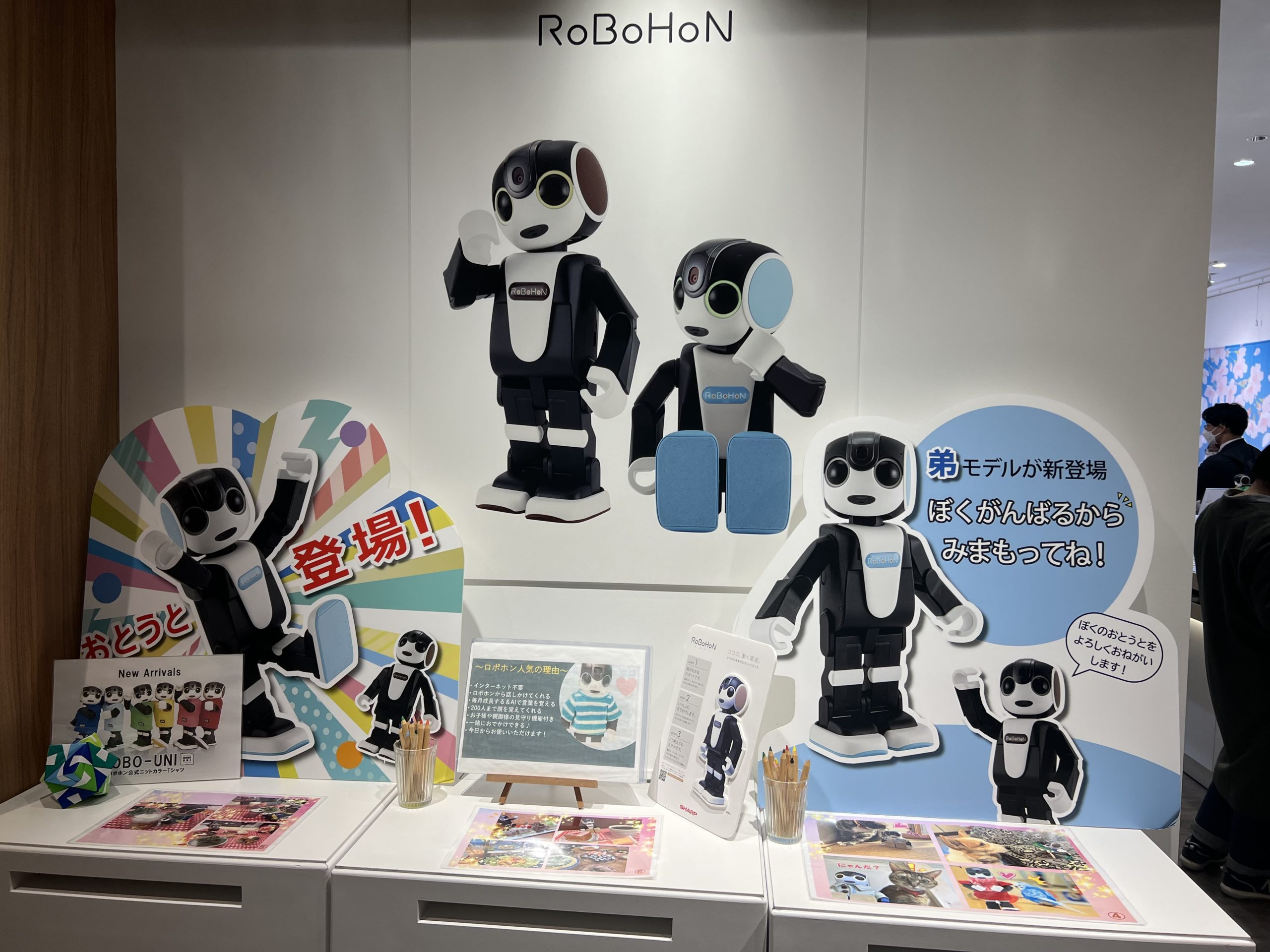 ロボホン　新宿タカシマヤ　Robotics Studioでの販売